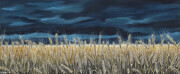 Wheat Field Under Stormy Skies